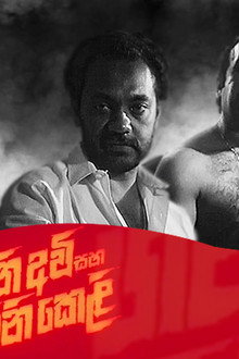 ගිනි අවි සහ ගිනි කෙළි