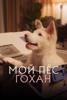Мой пёс Гохан