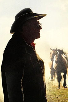 Running Wild: One Man's Quest to Save the Wild Mustang