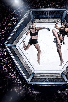 Ronda Rousey vs. Gina Carano