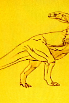 Dinosaurs: Puzzles from the Past