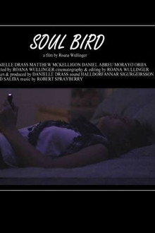 Soul Bird