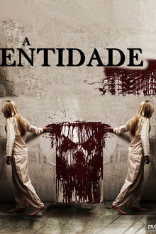 A Entidade: Coleção