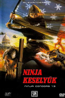 Ninja keselyűk