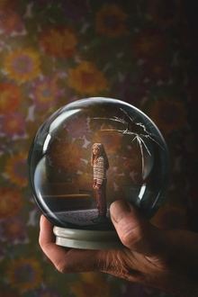Imagem poster