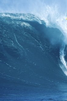 Take-Every-Wave-The-Life-of-Laird-Hamilton