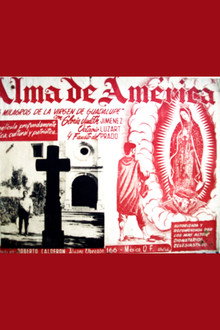 Alma de América