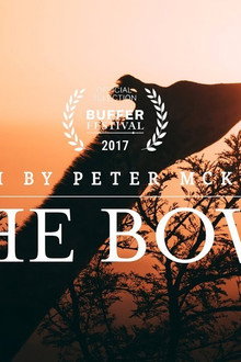 The Bowl