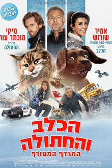 הכלב והחתולה המרדף המטורף