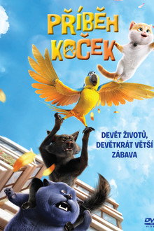 Příběh koček