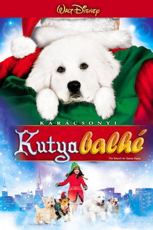 Karácsonyi kutyabalhé