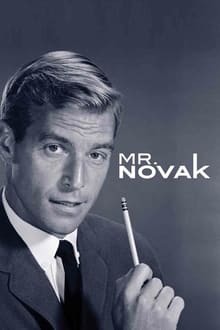 Poster da série Mr. Novak