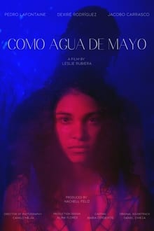 Poster do filme Como Agua de Mayo