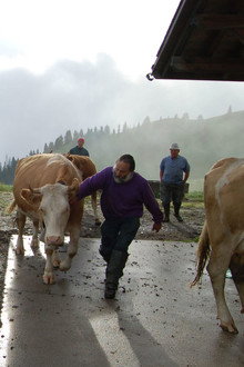 L'autre versant de Gstaad