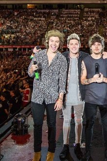 One-Direction-Where-We-Are---The-Concert-Film
