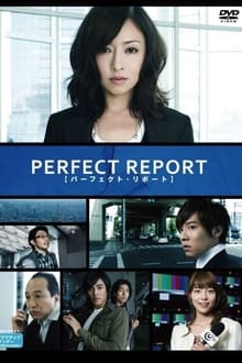 Poster da série Perfect Report