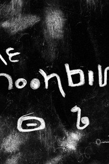 The Moon Bird