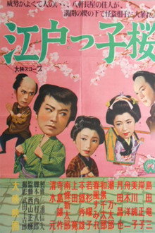 江戸っ子桜
