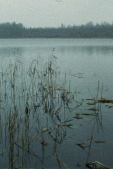 Rascunho automático