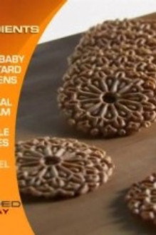 Chopped season 13 episode 11