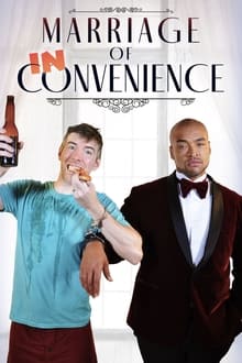 Marriage of Inconvenience tv show poster