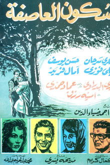 Stillness of the Storm