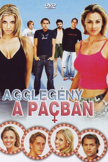 Agglegény a pácban (Hoppon maradt playboy)