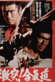 Poster do filme The Power of Aikido