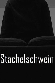 Stachelschwein