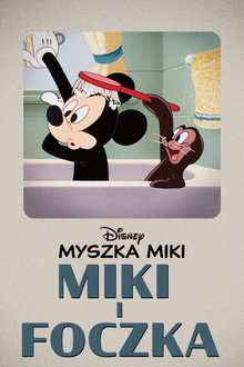 Miki i foczka