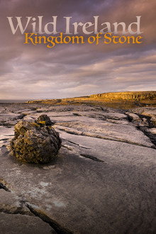 Wild Ireland: Kingdom of Stone