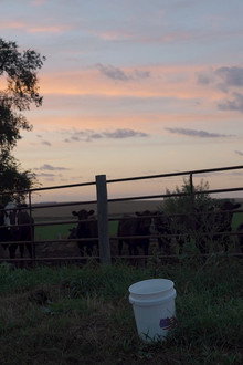 Pastoral