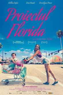 Proiectul Florida