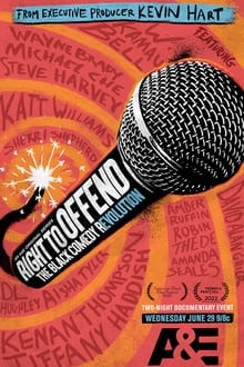 Poster da série Right to Offend: The Black Comedy Revolution