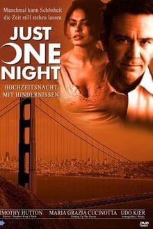 Poster do filme Just One Night
