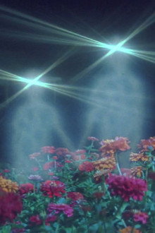 Strange Invaders