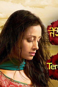 Tere Liye