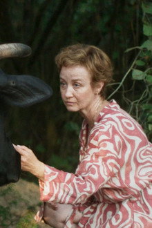 Wolna krowa