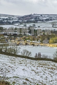 Poster da série Winter Walks