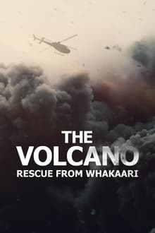 The Volcano: Rescue from Whakaari (WEB-DL)