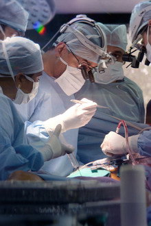 The Surgeon's Cut