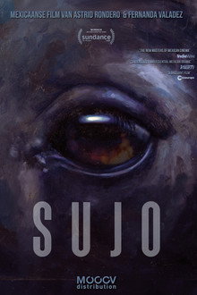 Sujo