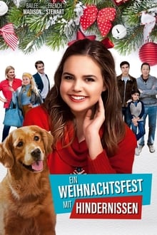 Ein Weihnachtsfest mit Hindernissen