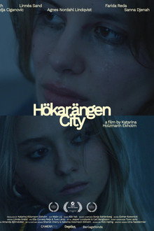 Hökarängen City