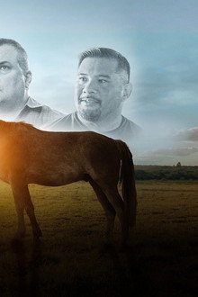 Where the Horses Heal the Soul