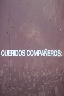 Queridos compañeros
