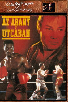 Az arany utcában