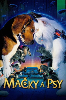 Mačky a psy