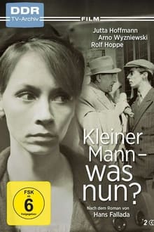 Poster da série Kleiner Mann – was nun?