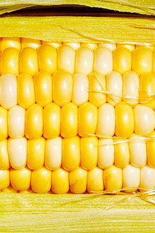 Cornman: American Vegetable Hero